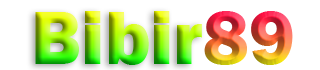 BIBIR89